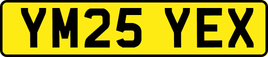 YM25YEX