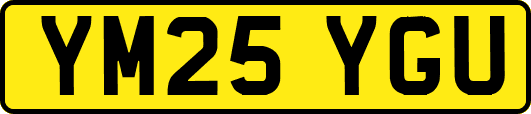 YM25YGU