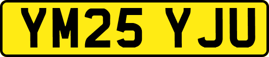 YM25YJU