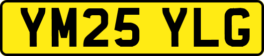 YM25YLG
