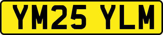 YM25YLM