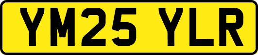 YM25YLR
