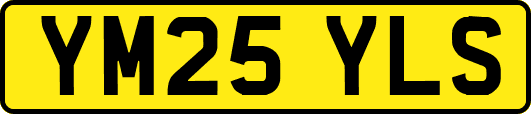 YM25YLS