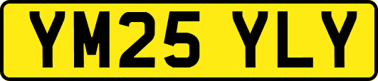 YM25YLY
