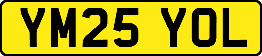 YM25YOL