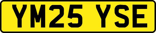 YM25YSE