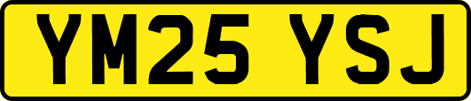 YM25YSJ