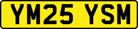 YM25YSM