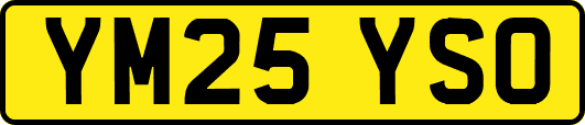 YM25YSO