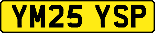 YM25YSP