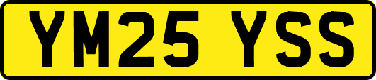 YM25YSS
