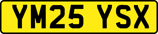 YM25YSX