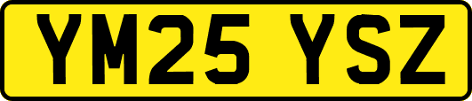 YM25YSZ