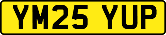 YM25YUP