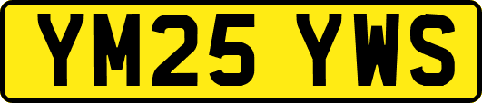 YM25YWS