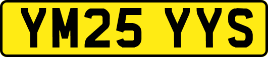 YM25YYS
