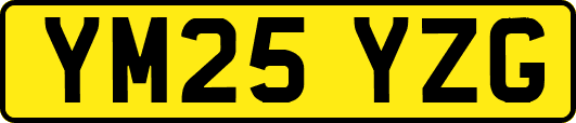 YM25YZG