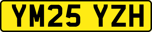 YM25YZH