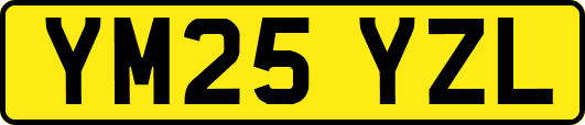 YM25YZL