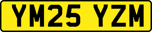YM25YZM