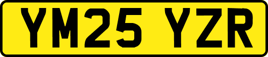 YM25YZR