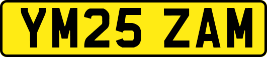 YM25ZAM