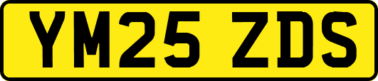 YM25ZDS