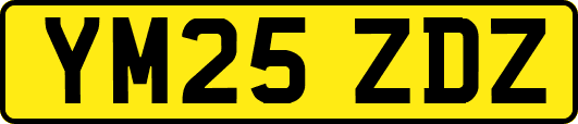 YM25ZDZ