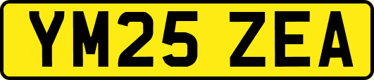 YM25ZEA