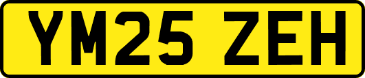 YM25ZEH