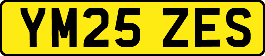 YM25ZES