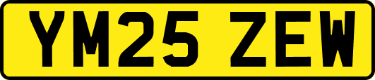 YM25ZEW