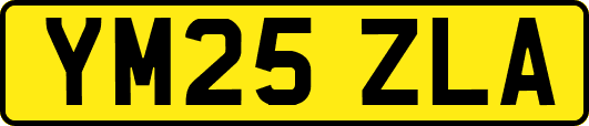 YM25ZLA