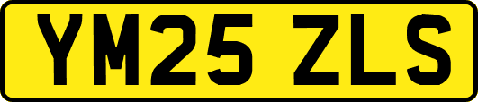 YM25ZLS