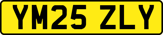 YM25ZLY