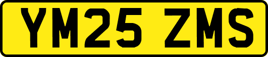 YM25ZMS
