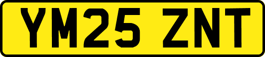 YM25ZNT