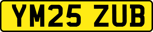 YM25ZUB