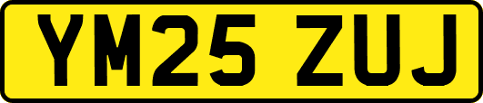 YM25ZUJ