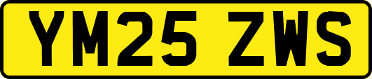 YM25ZWS