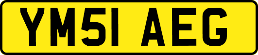 YM51AEG