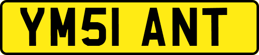 YM51ANT