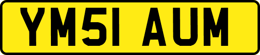 YM51AUM