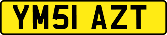 YM51AZT