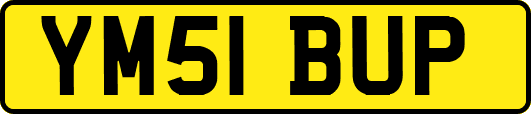 YM51BUP