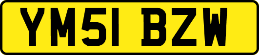 YM51BZW