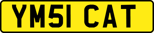 YM51CAT
