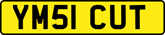 YM51CUT