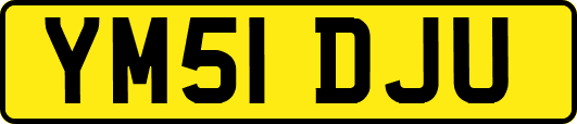 YM51DJU