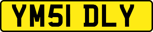 YM51DLY